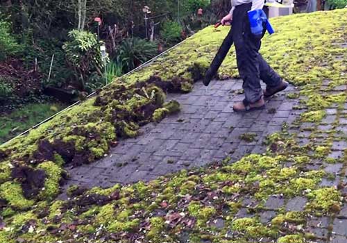 roof moss removal maple ridge