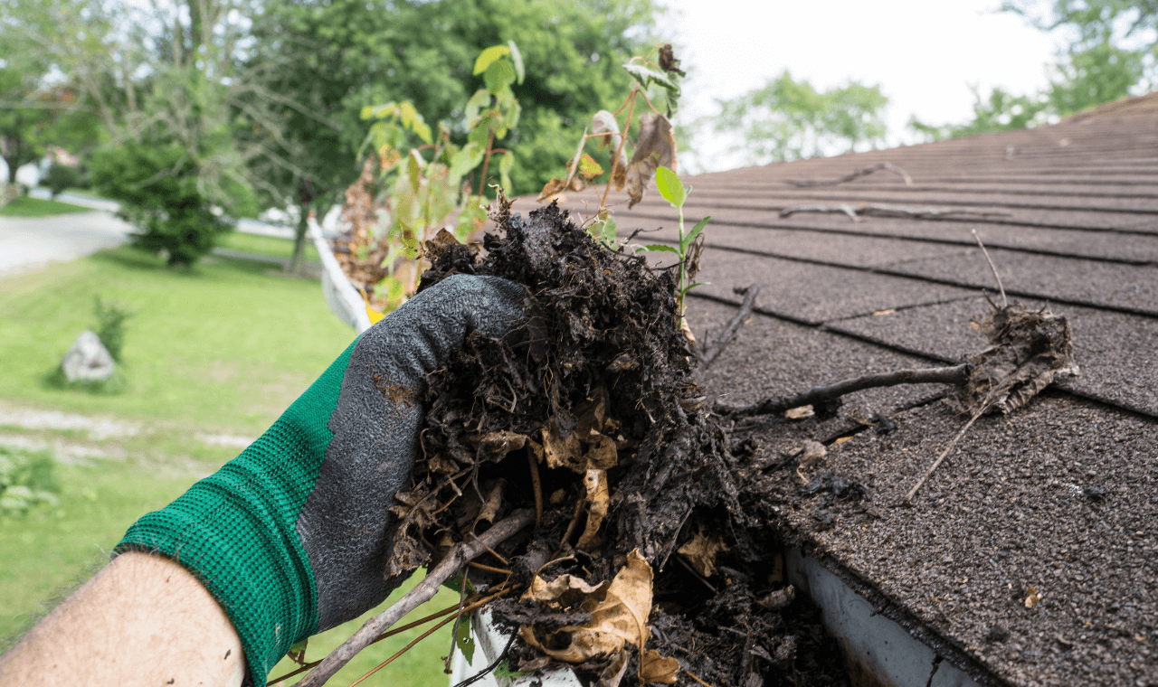Gutter Cleaning with gloves