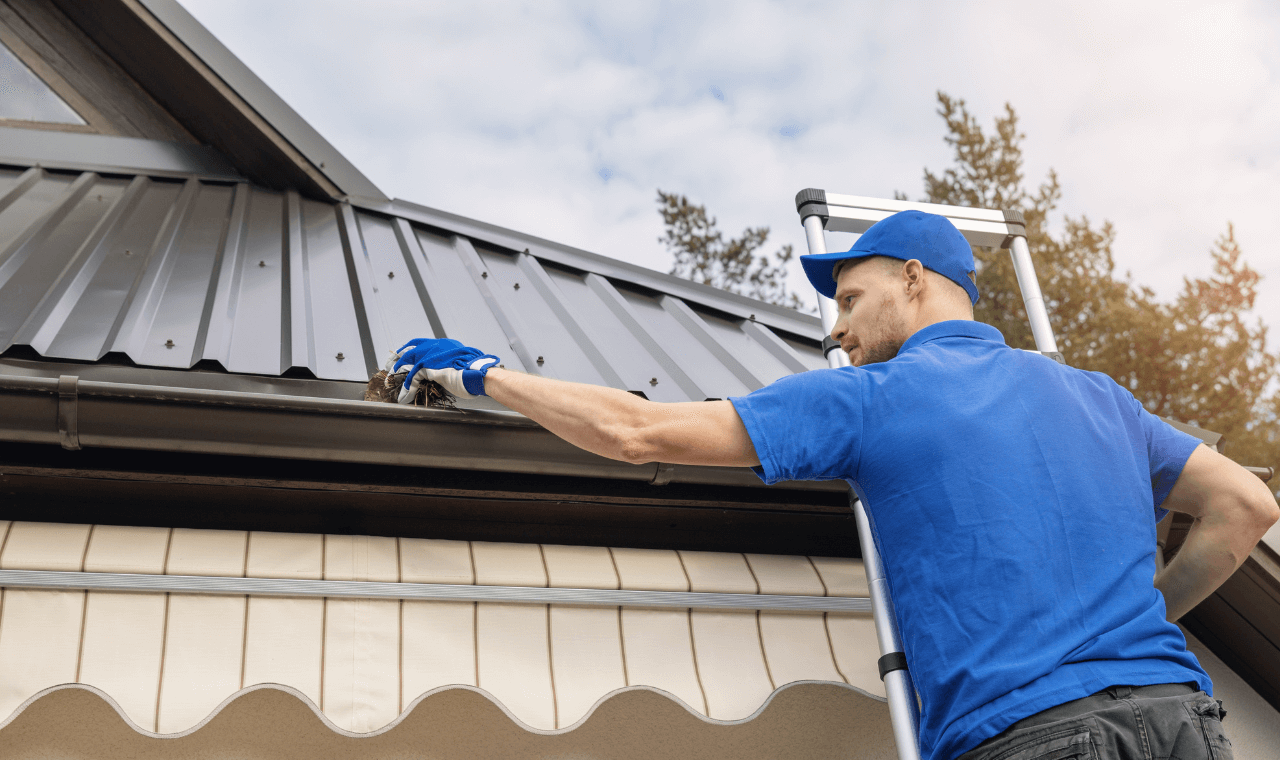 Gutter Cleaning Services: Your Path to a Cleaner and Safer Home