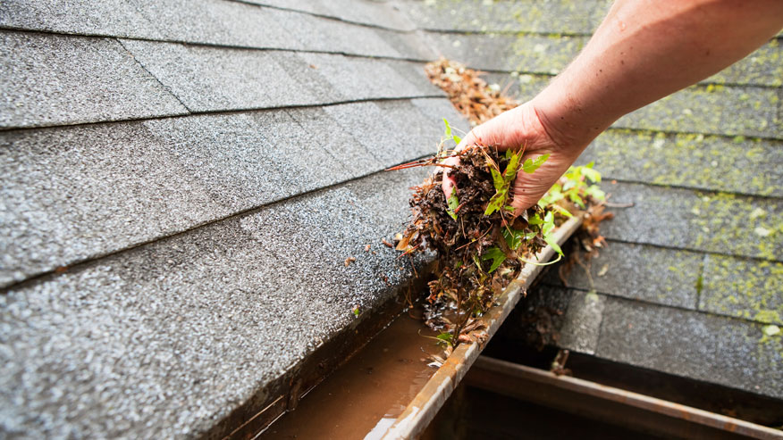 How to Safely Clean Your Roof and Gutters