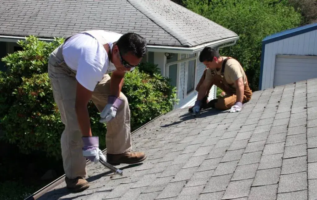 Asphalt Roof Cleaning Service provider in BC